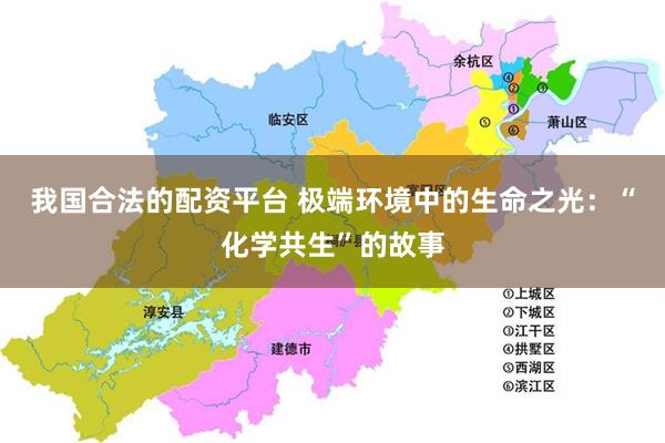 我国合法的配资平台 极端环境中的生命之光：“化学共生”的故事