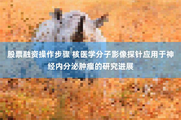 股票融资操作步骤 核医学分子影像探针应用于神经内分泌肿瘤的研究进展