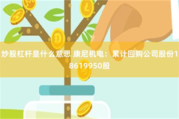 炒股杠杆是什么意思 康尼机电：累计回购公司股份18619950股