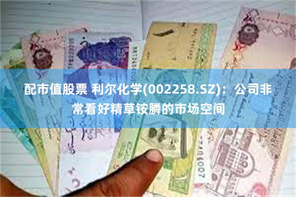 配市值股票 利尔化学(002258.SZ)：公司非常看好精草铵膦的市场空间