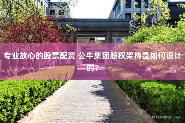 专业放心的股票配资 公牛集团股权架构是如何设计的？