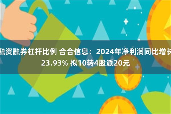 融资融券杠杆比例 合合信息：2024年净利润同比增长23.93% 拟10转4股派20元