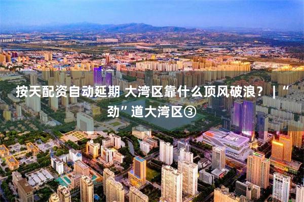 按天配资自动延期 大湾区靠什么顶风破浪？ | “劲”道大湾区③