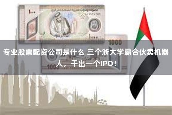 专业股票配资公司是什么 三个浙大学霸合伙卖机器人，干出一个IPO！