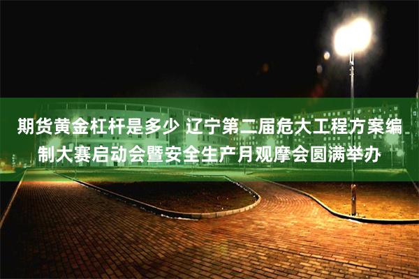 期货黄金杠杆是多少 辽宁第二届危大工程方案编制大赛启动会暨安全生产月观摩会圆满举办