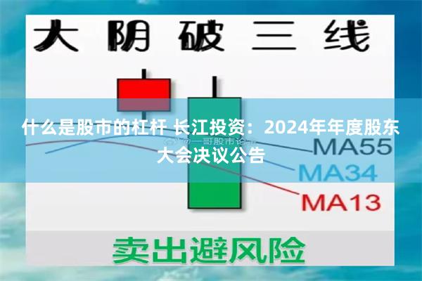 什么是股市的杠杆 长江投资：2024年年度股东大会决议公告