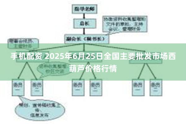 手机配资 2025年6月25日全国主要批发市场西葫芦价格行情