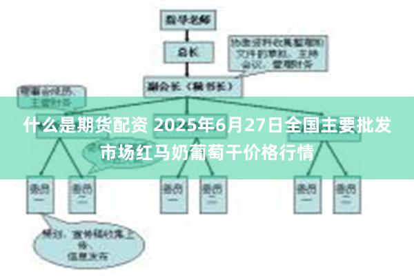 什么是期货配资 2025年6月27日全国主要批发市场红马奶葡萄干价格行情