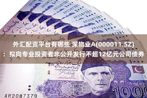 外汇配资平台有哪些 深物业A(000011.SZ)：拟向专业投资者非公开发行不超12亿元公司债券