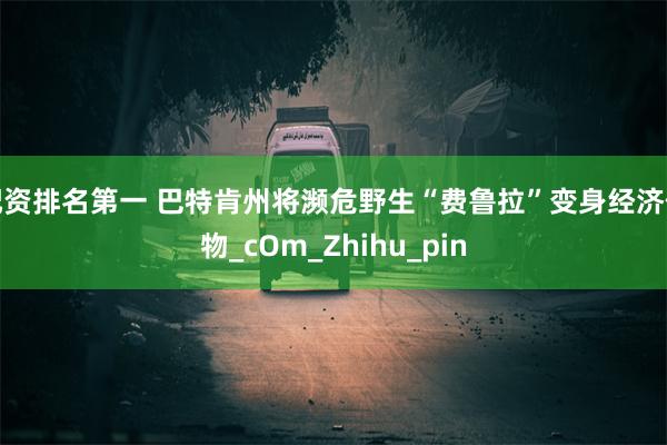 配资排名第一 巴特肯州将濒危野生“费鲁拉”变身经济作物_cOm_Zhihu_pin