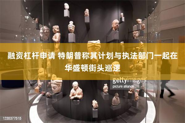 融资杠杆申请 特朗普称其计划与执法部门一起在华盛顿街头巡逻