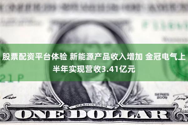 股票配资平台体验 新能源产品收入增加 金冠电气上半年实现营收3.41亿元