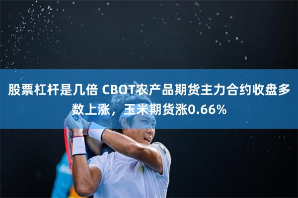 股票杠杆是几倍 CBOT农产品期货主力合约收盘多数上涨，玉米期货涨0.66%